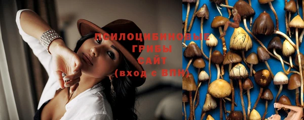 PSILOCYBIN Волоколамск